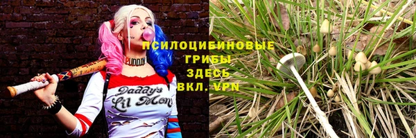 амф Абдулино