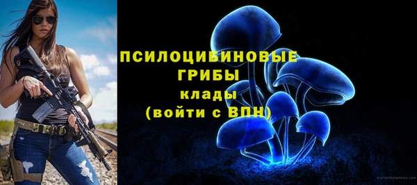 стафф Абаза